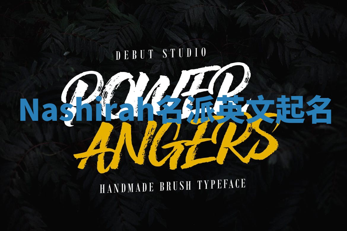 Nashirah名派英文起名