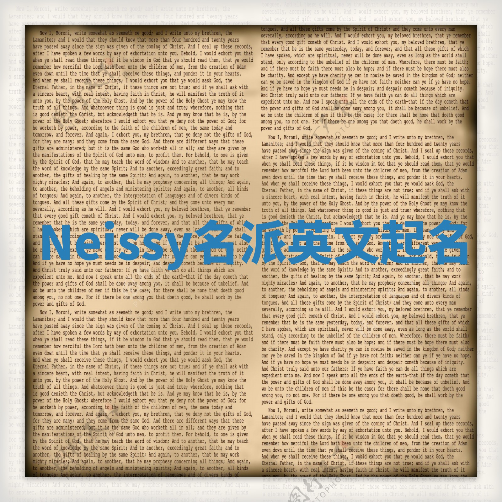 Neissy名派英文起名
