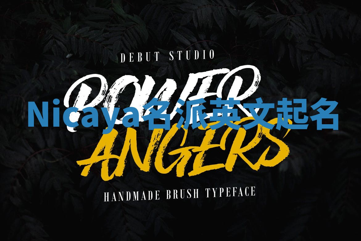 Nicaya名派英文起名