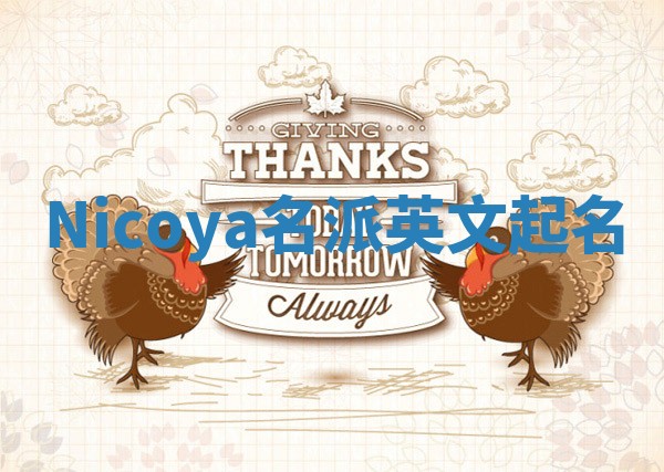 Nicoya名派英文起名