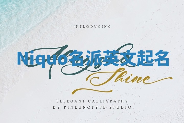 Niquo名派英文起名