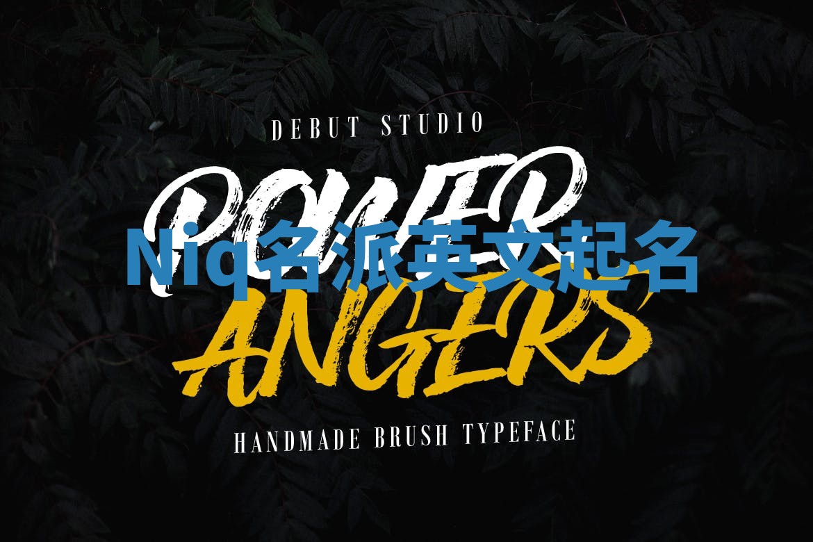 Niq名派英文起名