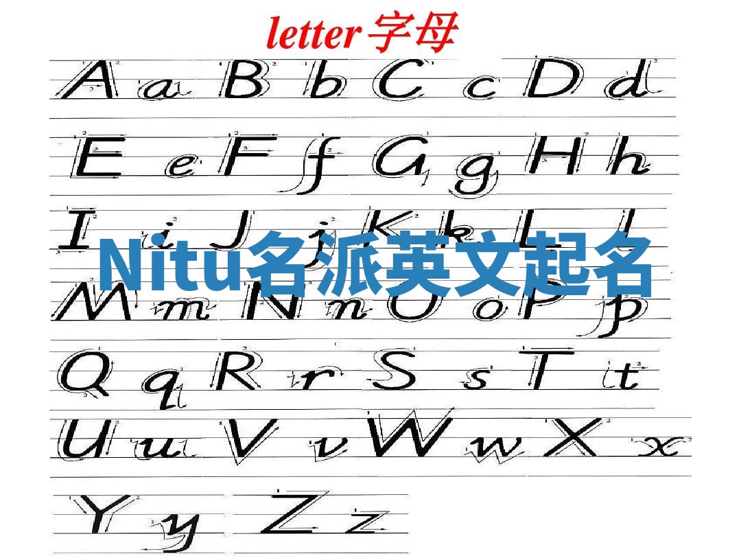 Nitu名派英文起名