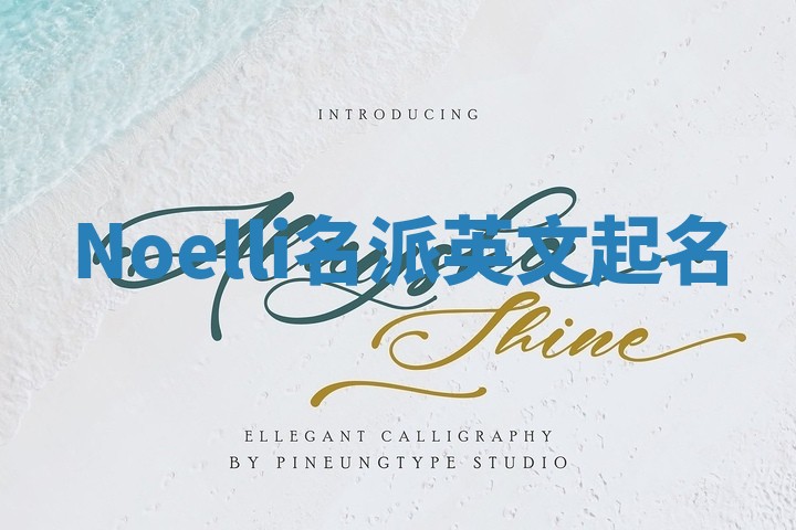 Noelli名派英文起名