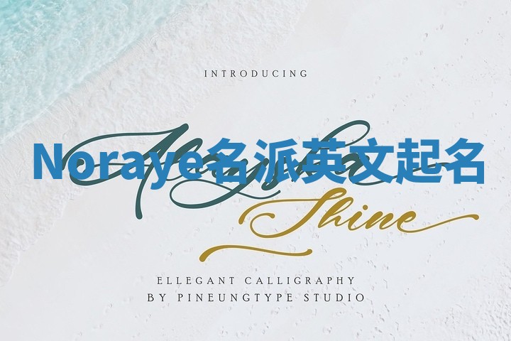 Noraye名派英文起名