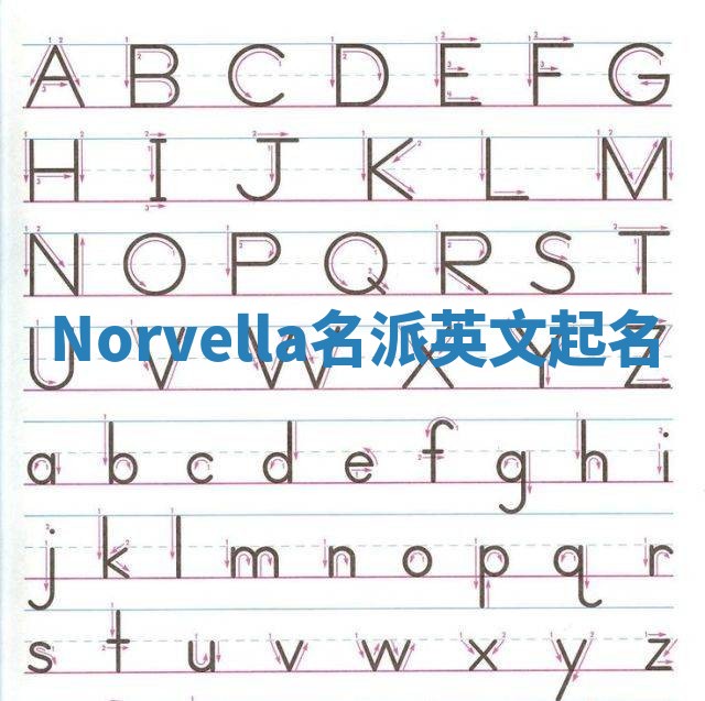 Norvella名派英文起名