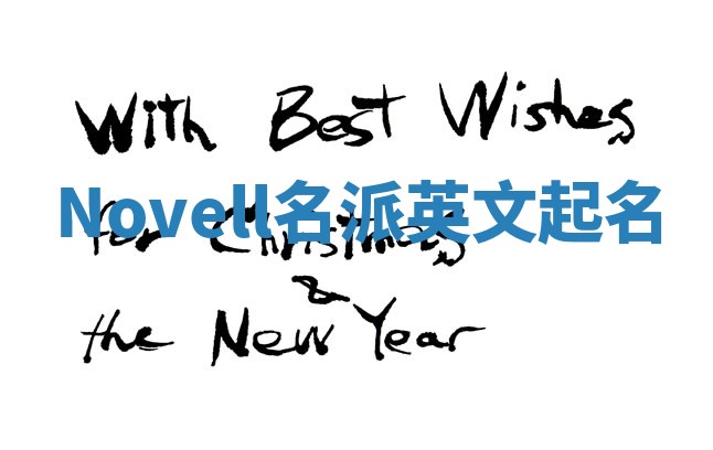 Novell名派英文起名