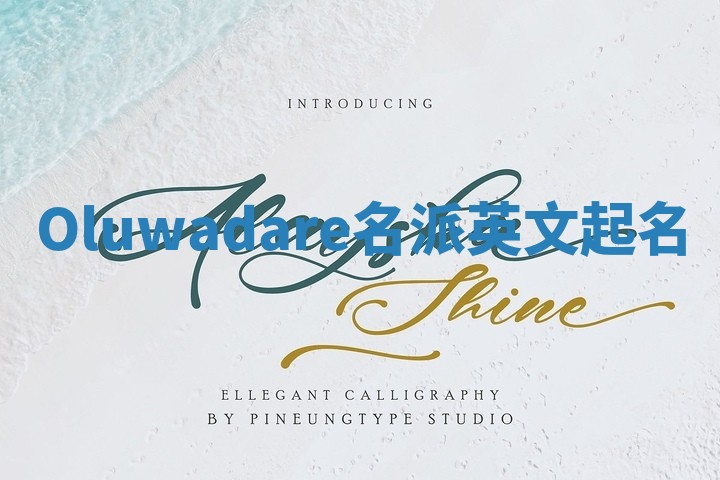 Oluwadare名派英文起名