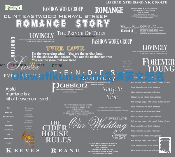 Oluwafikunayomi名派英文起名