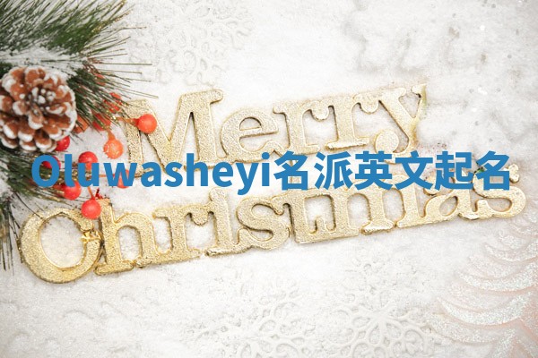 Oluwasheyi名派英文起名