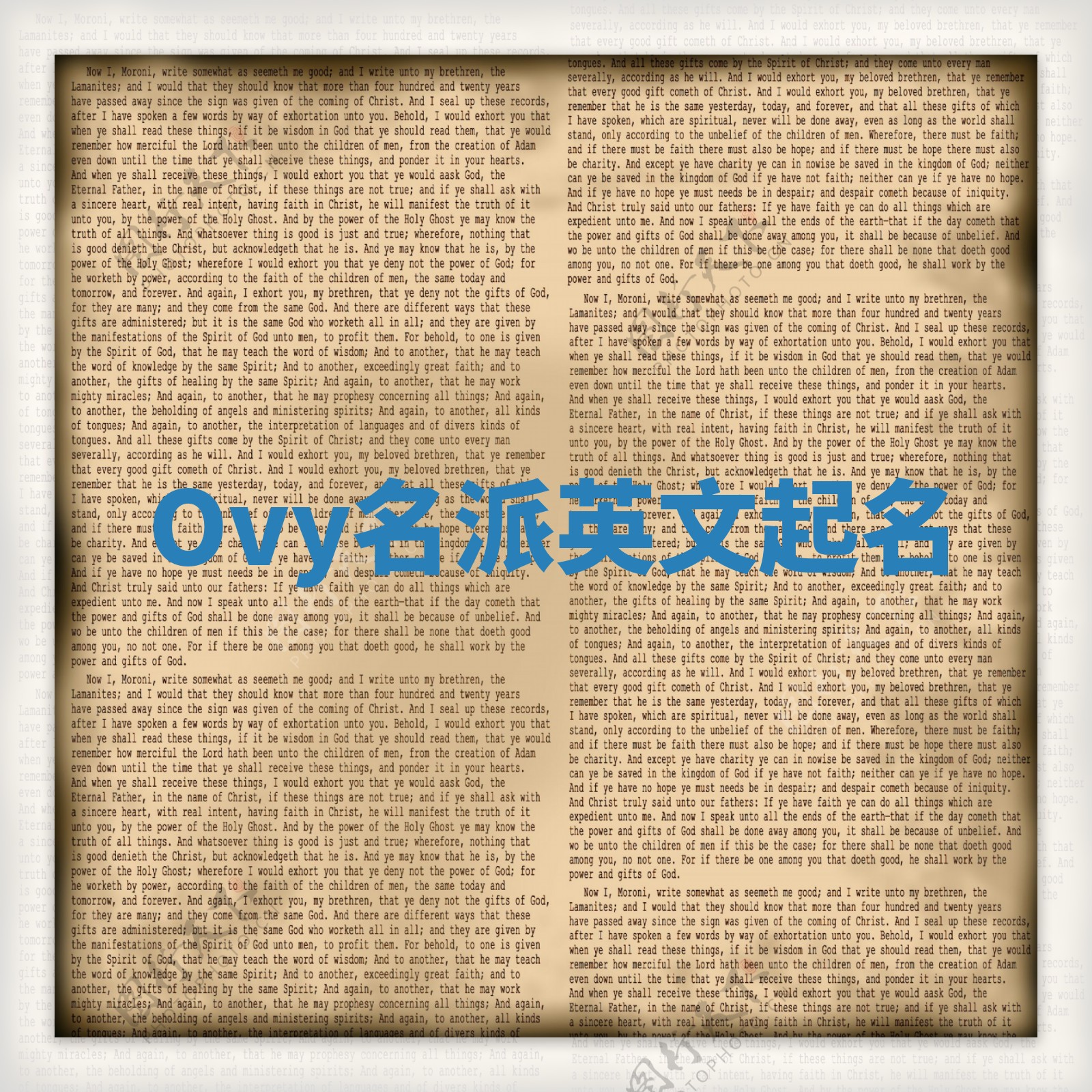 Ovy名派英文起名