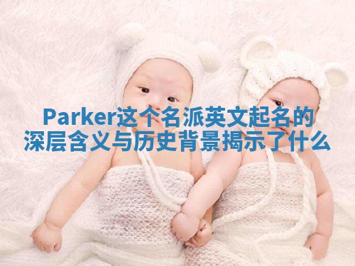 Parker这个名派英文起名的深层含义与历史背景揭示了什么