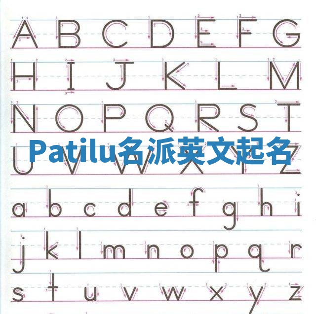 Patilu名派英文起名