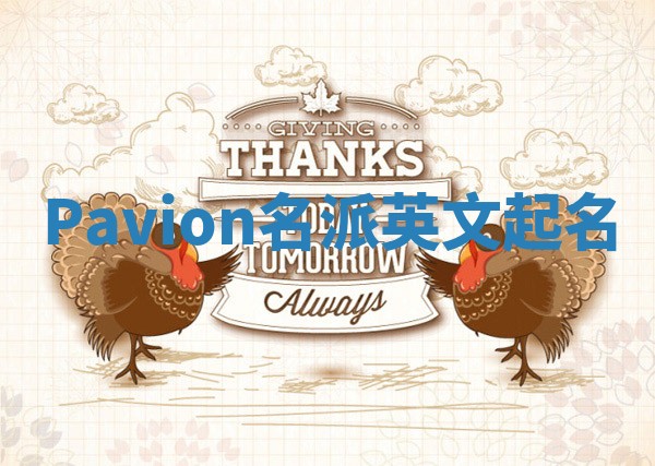 Pavion名派英文起名