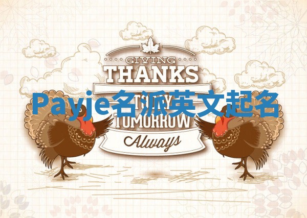 Payje名派英文起名