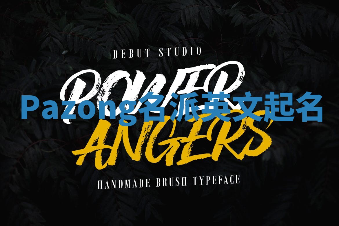 Pazong名派英文起名