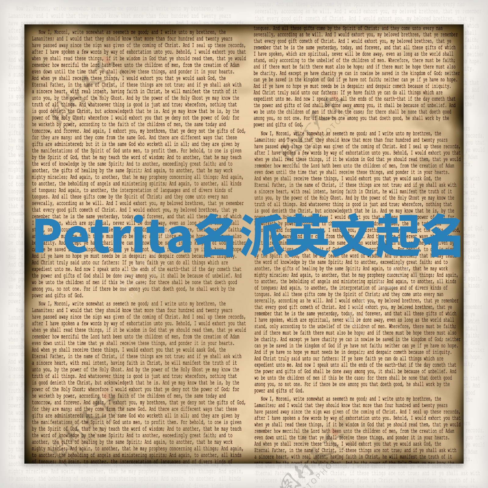 Petrita名派英文起名