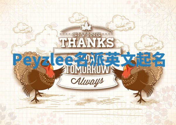 Peyzlee名派英文起名