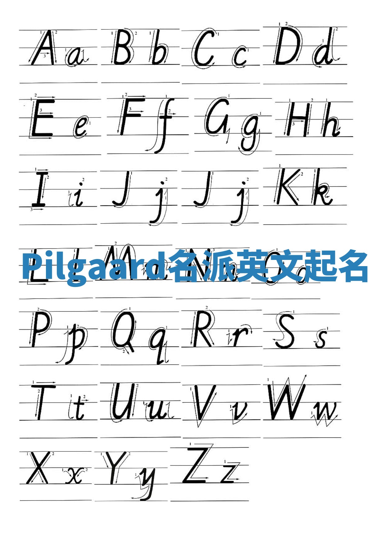 Pilgaard名派英文起名