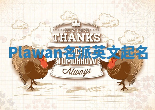 Plawan名派英文起名