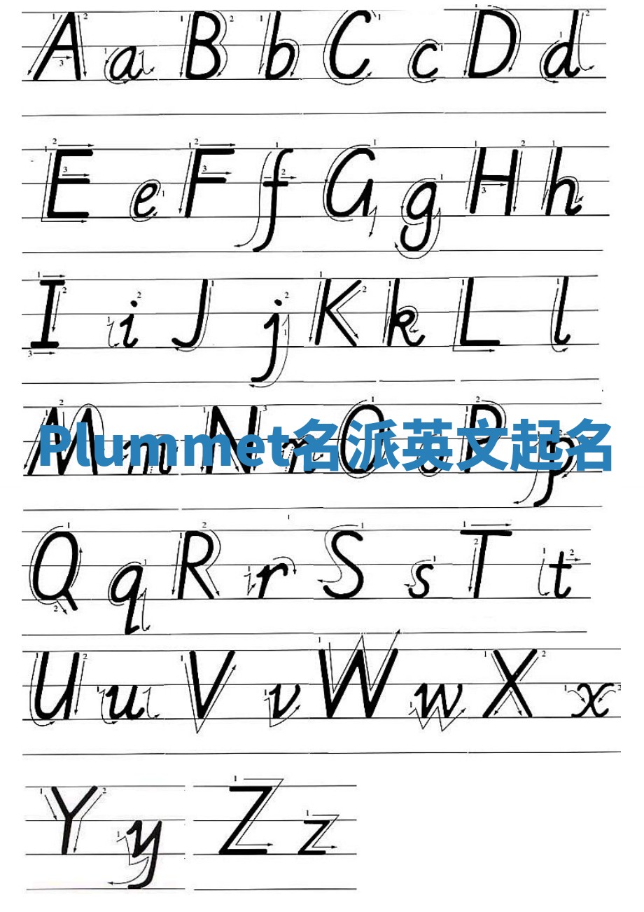 Plummet名派英文起名