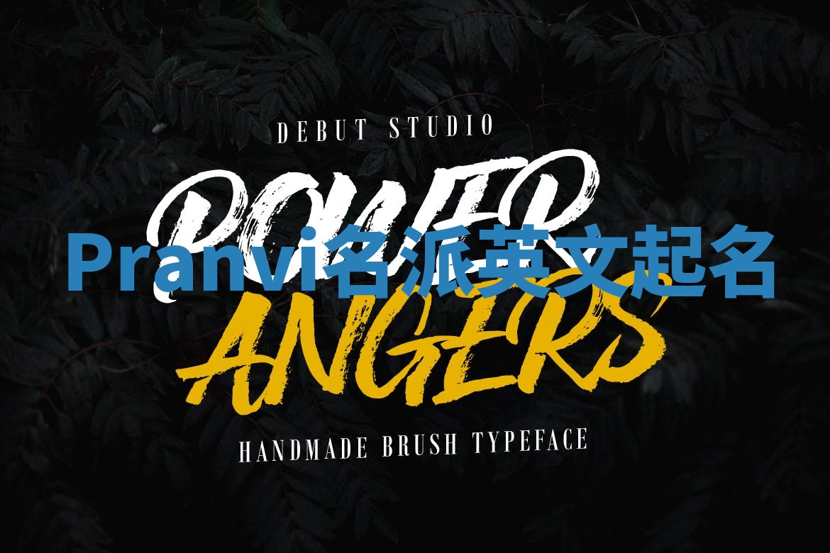 Pranvi名派英文起名