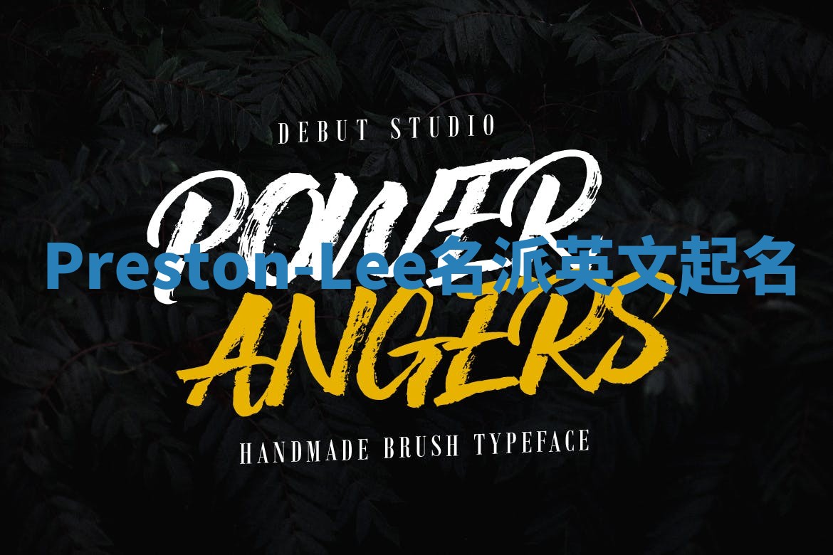 Preston-Lee名派英文起名