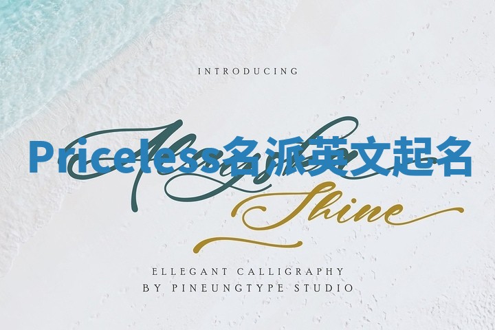 Priceless名派英文起名