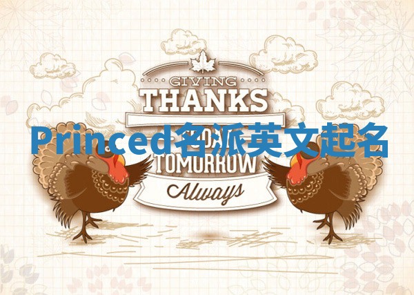 Princed名派英文起名