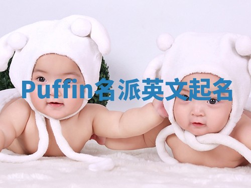 Puffin名派英文起名