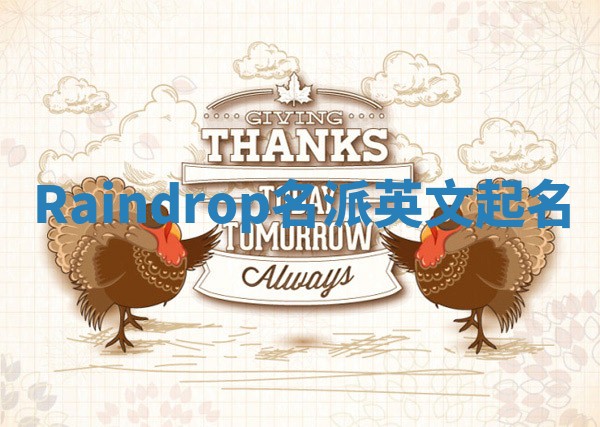 Raindrop名派英文起名