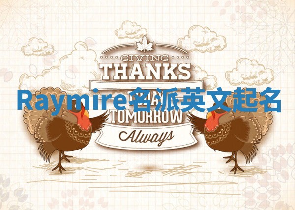 Raymire名派英文起名