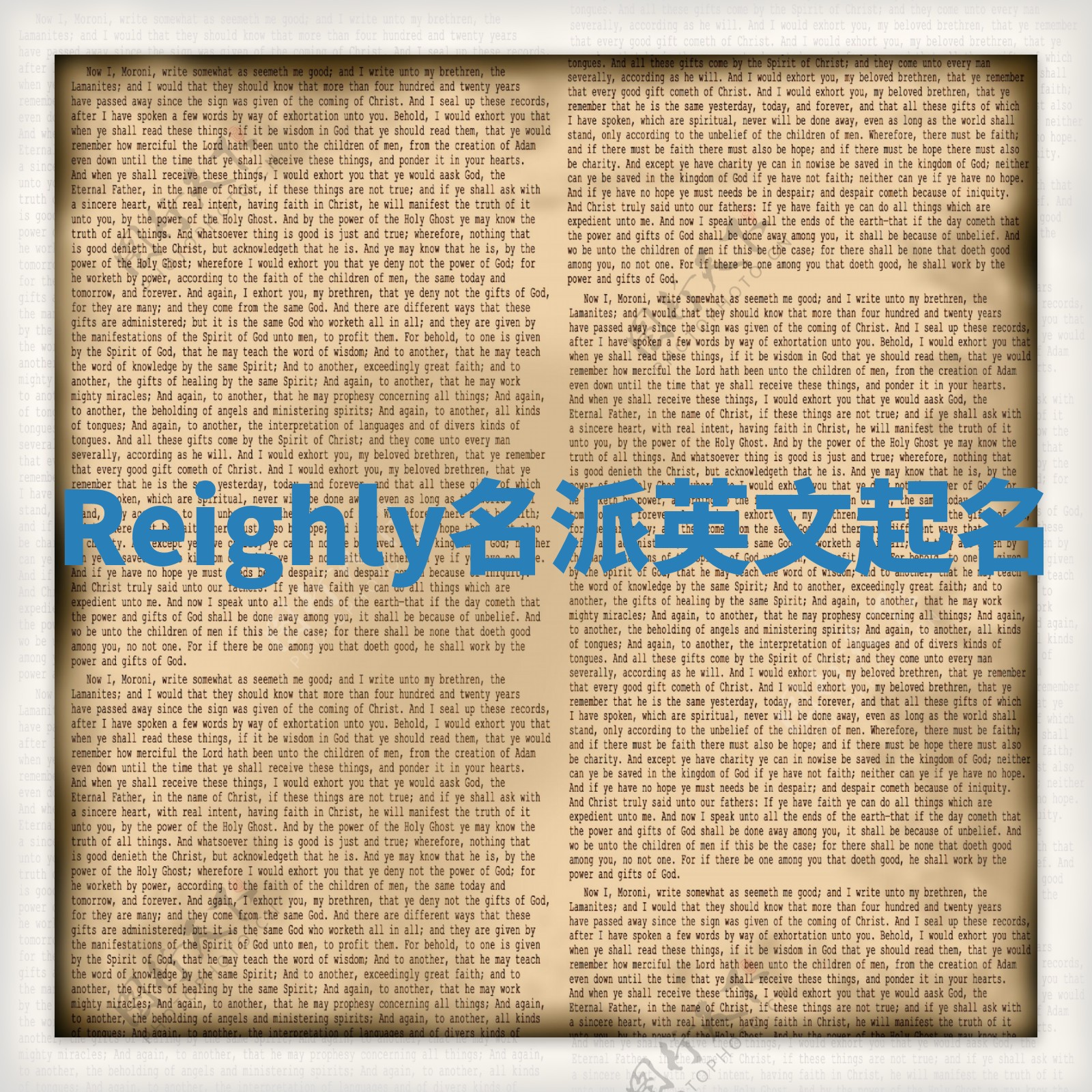Reighly名派英文起名