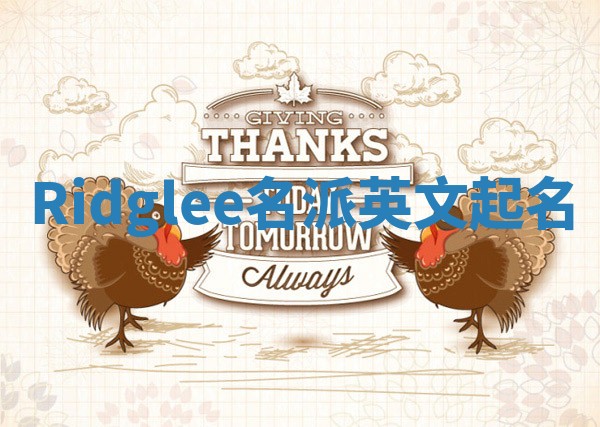 Ridglee名派英文起名