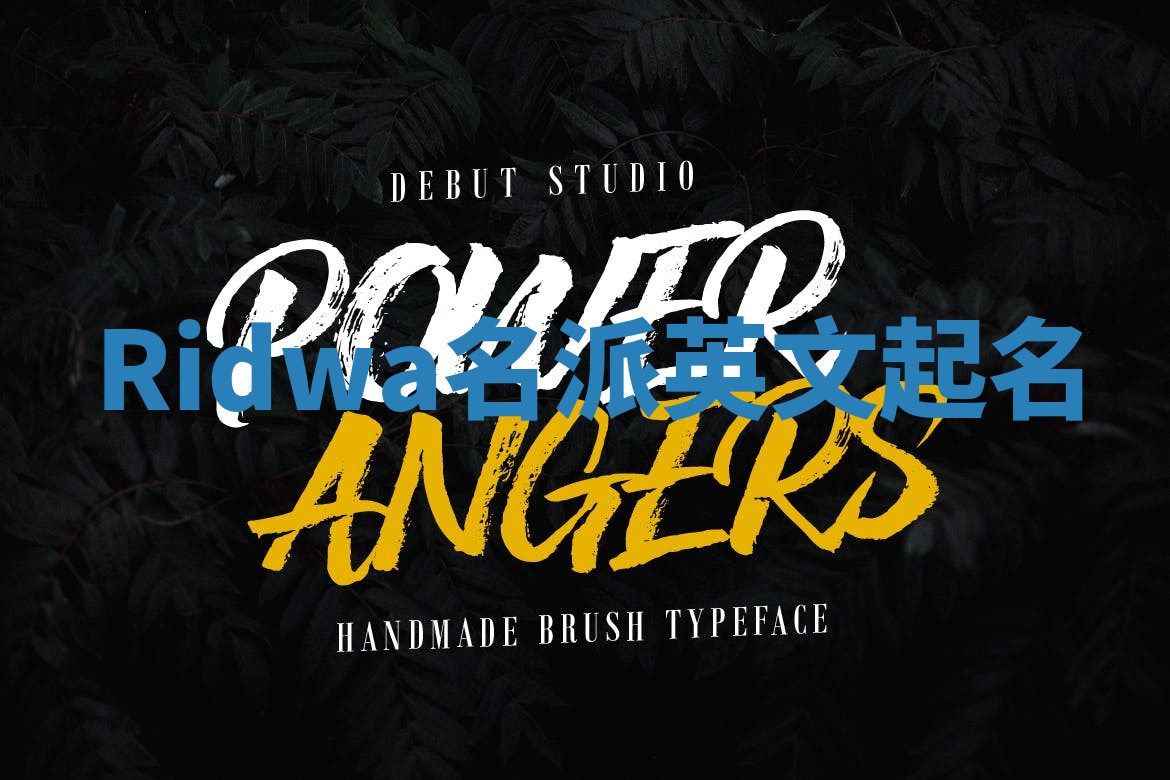 Ridwa名派英文起名