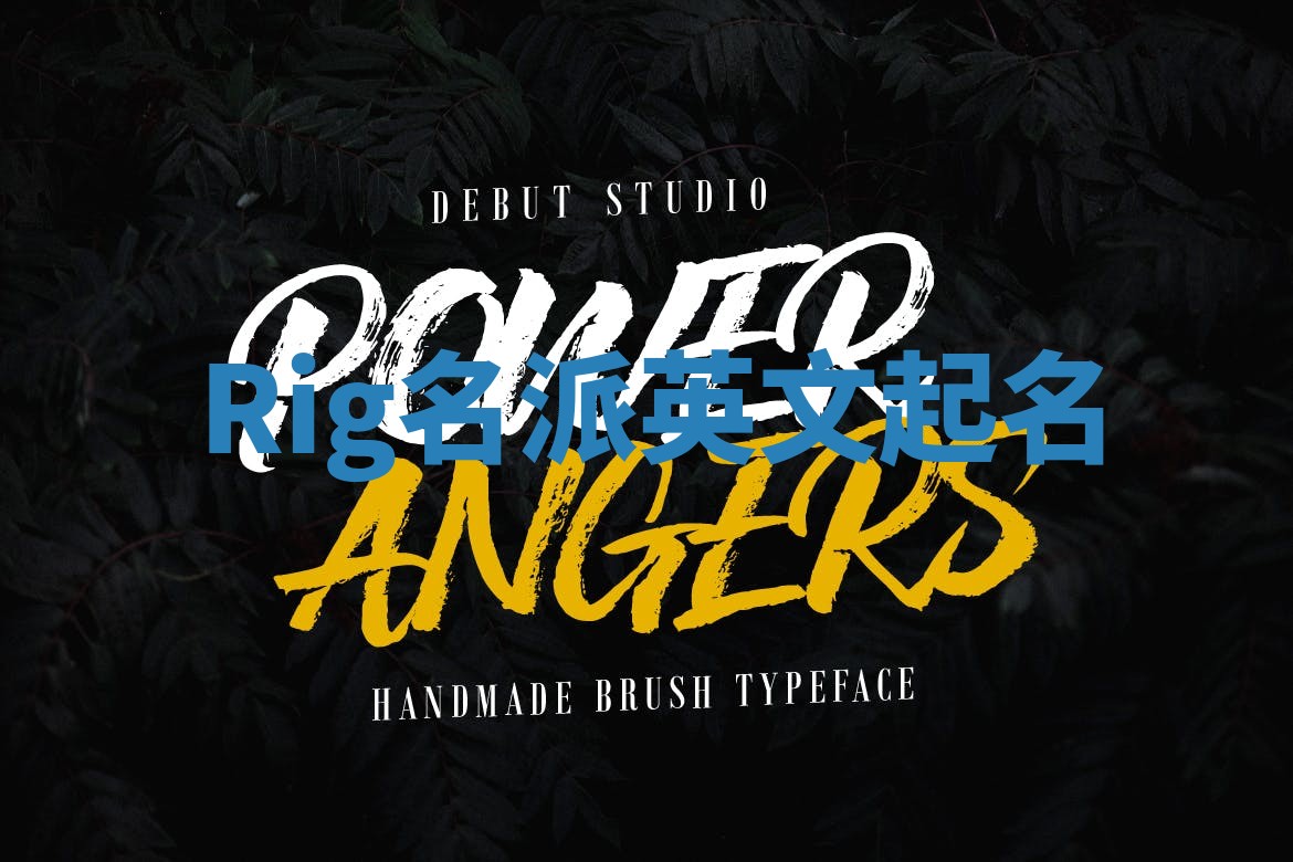 Rig名派英文起名