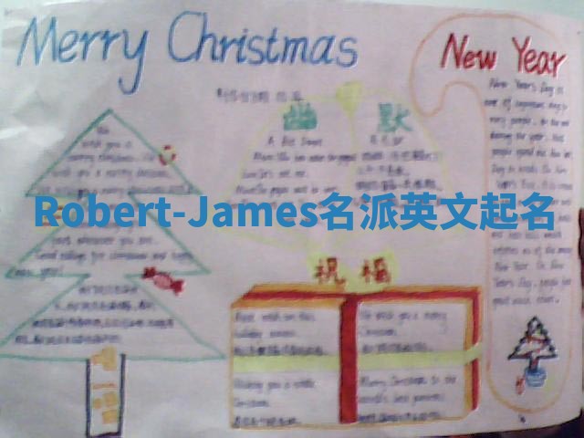 Robert-James名派英文起名