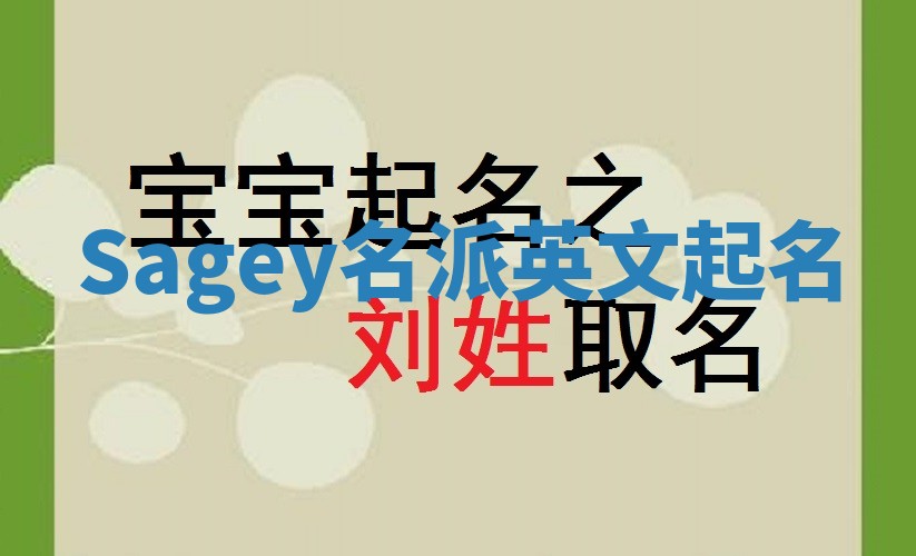 Sagey名派英文起名