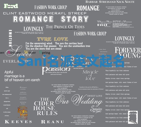 Sani名派英文起名