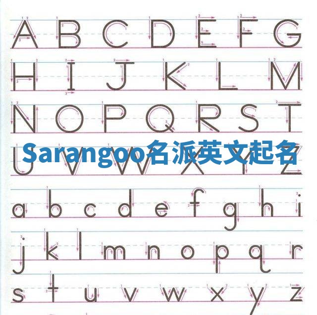 Sarangoo名派英文起名