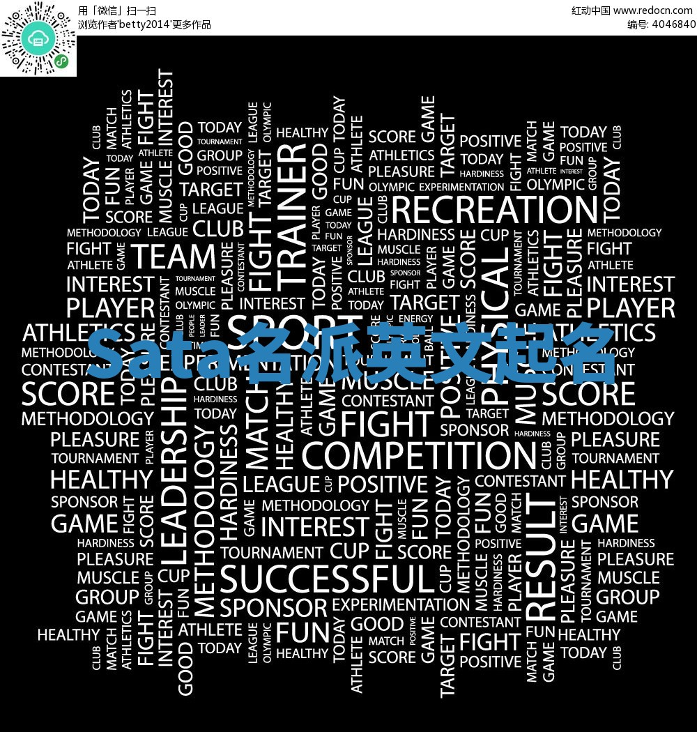 Sata名派英文起名