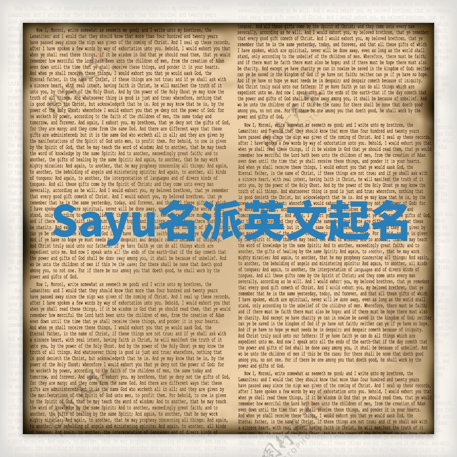 Sayu名派英文起名