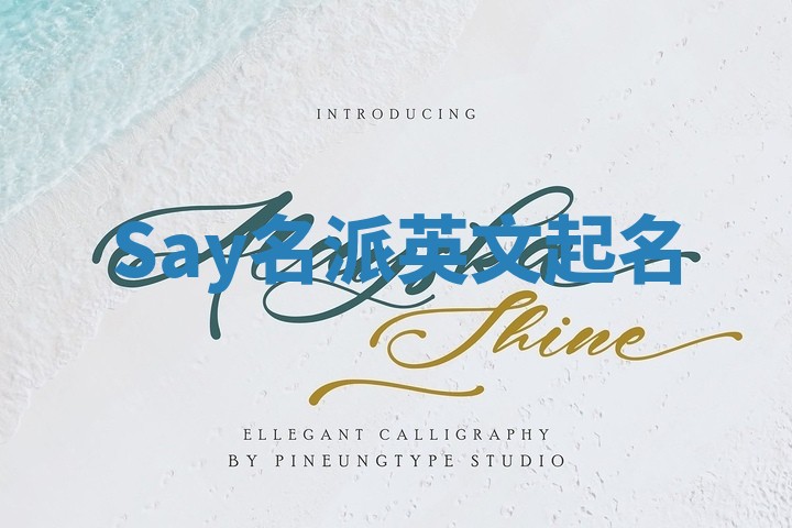 Say名派英文起名