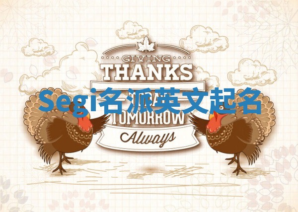 Segi名派英文起名 Segi名派英文起名