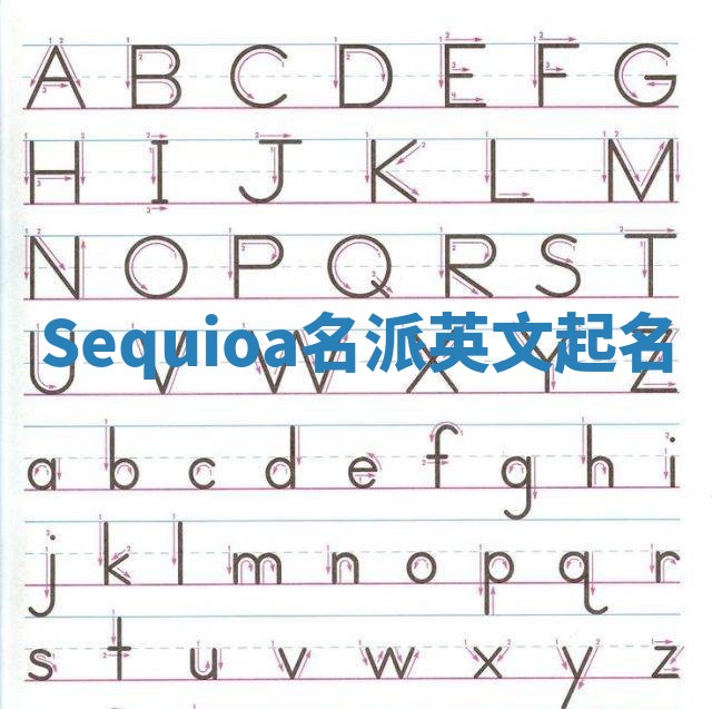 Sequioa名派英文起名