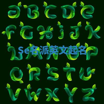 Se名派英文起名