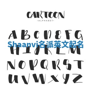 Shaanvi名派英文起名