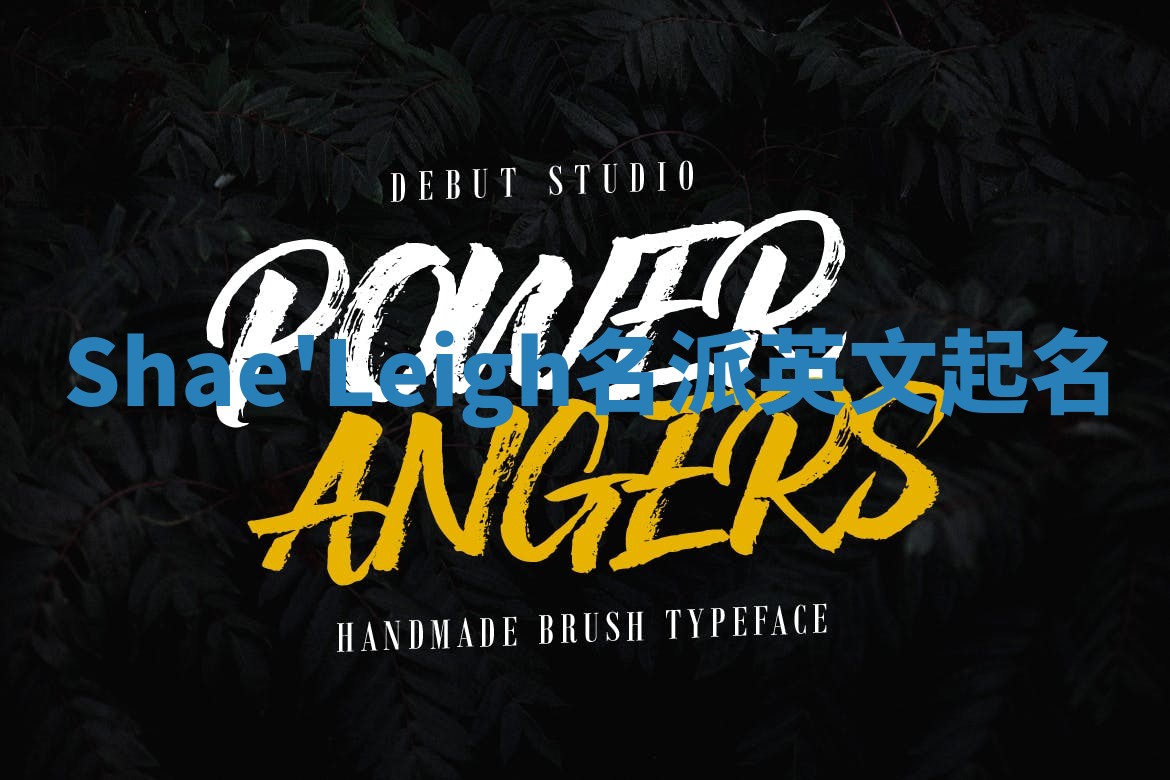 Shae'Leigh名派英文起名