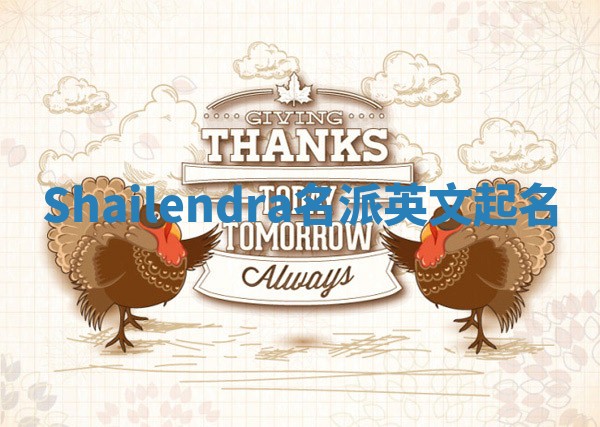 Shailendra名派英文起名