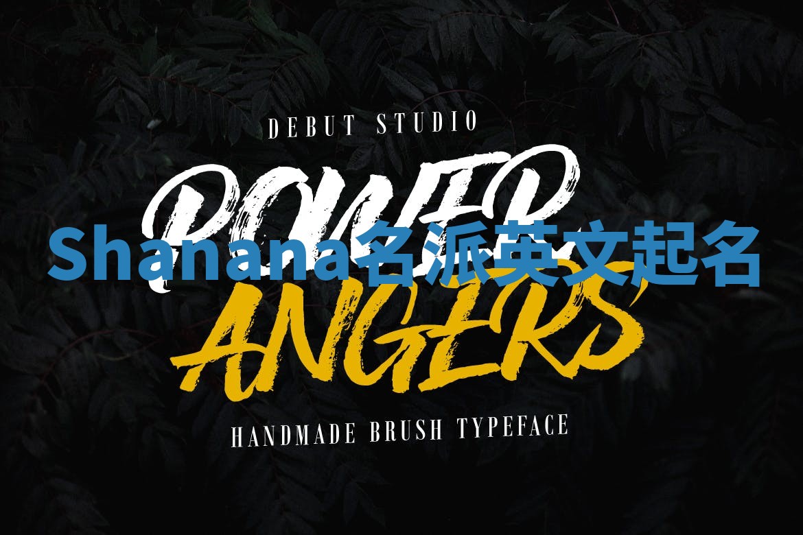 Shanana名派英文起名